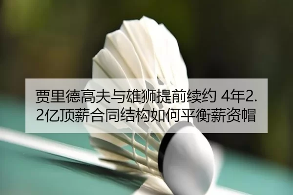 jia-li-de-gao-fu-yu-xiong-shi-ti-qian-xu-yue-nian-yi-ding-xin-he-tong-jie-gou-ru-he-ping-heng-xin-zi-mao-2-245.jpg